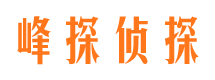 宜丰寻人公司